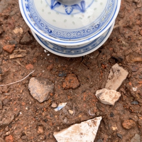 核桃木/黑胡桃（胡桃木）尹*