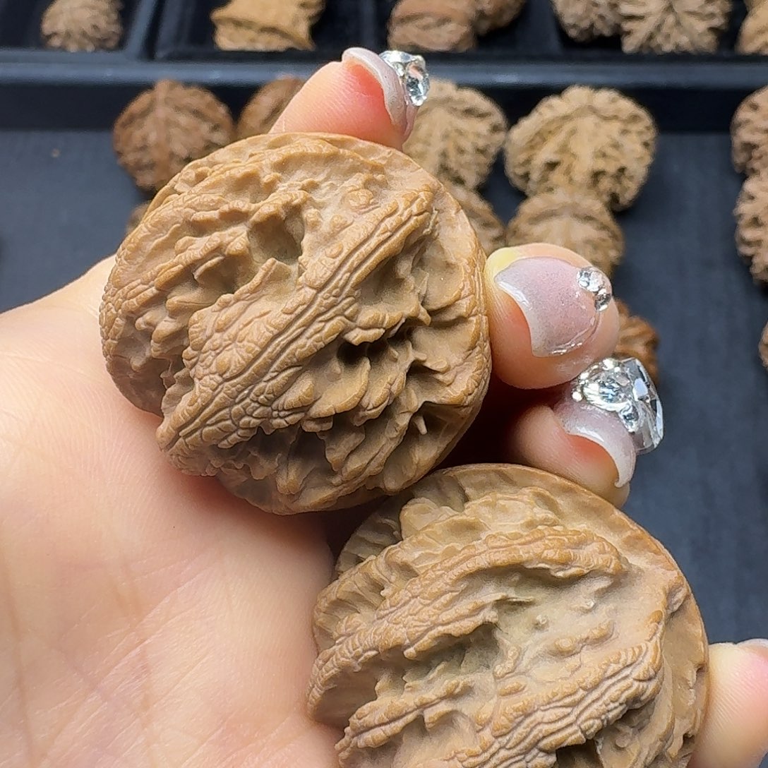 桃木突突突突突突突突