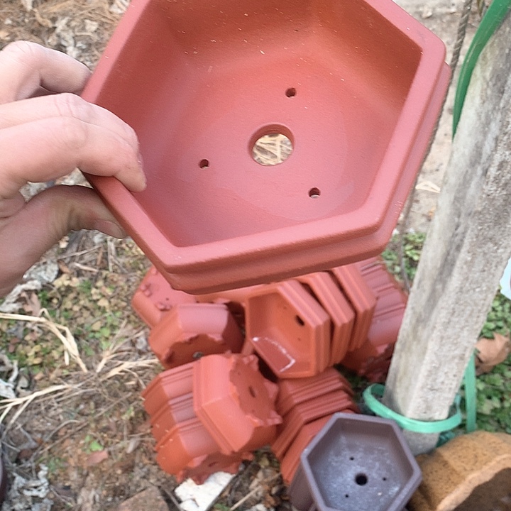 紫砂优秀青年科技学院教授一