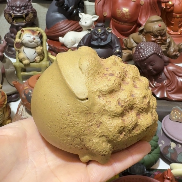 童***闪茶宠紫砂哈哈哈哈哈哈哈哈哈