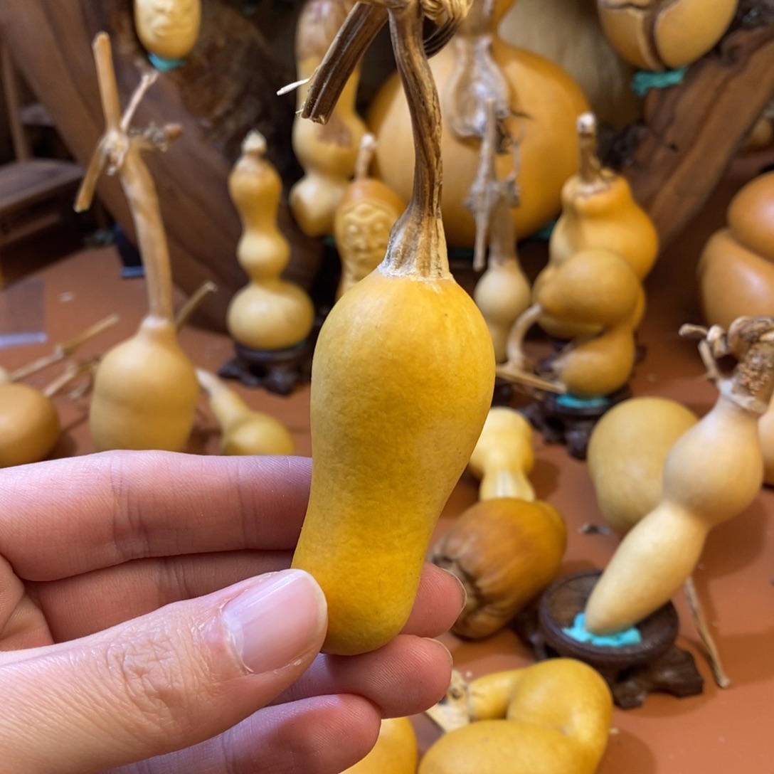 珠***教练哭了教练经理教练咯