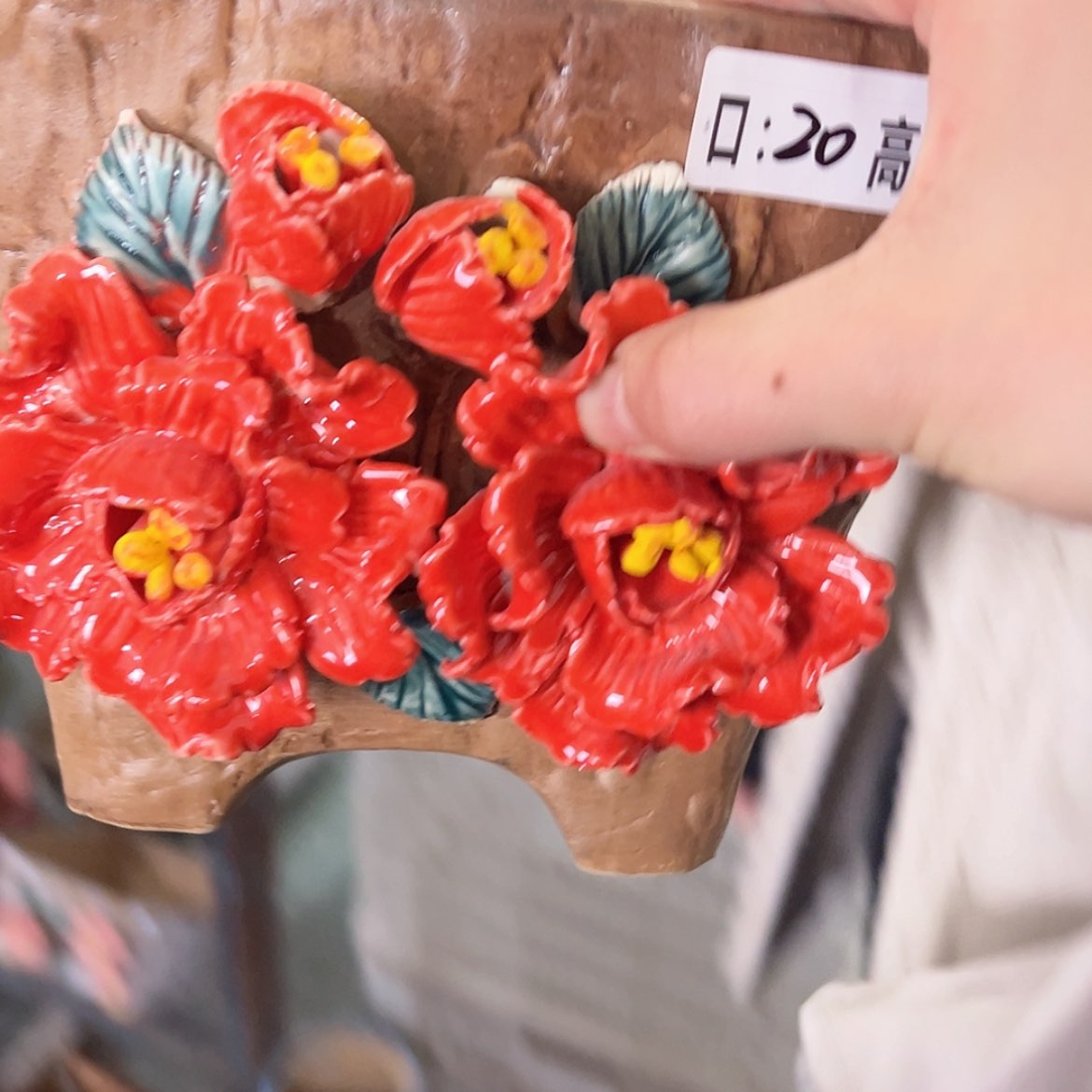 【闪购商品】红陶福利