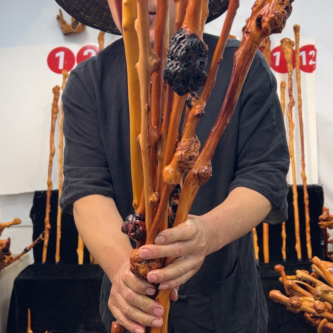 其他黑果木黑果木060