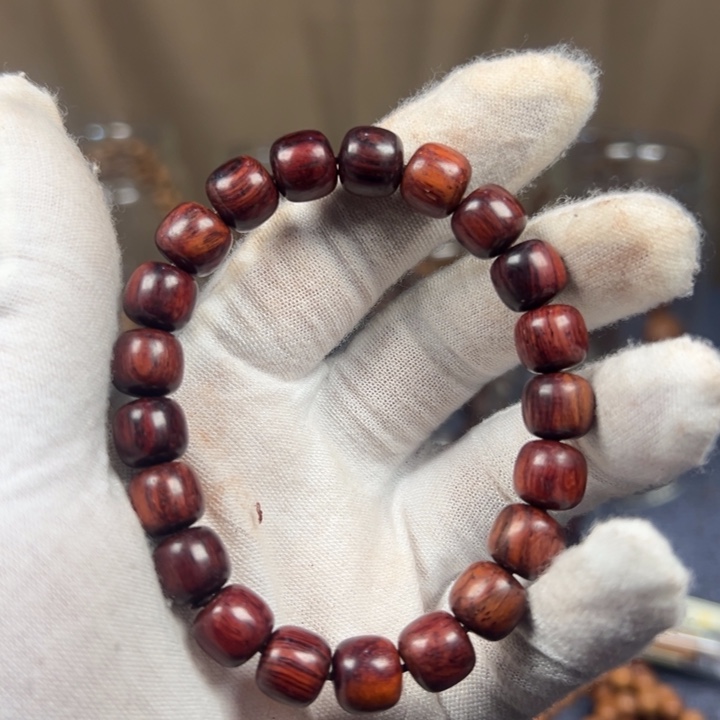 藤类海南红降鸽血红