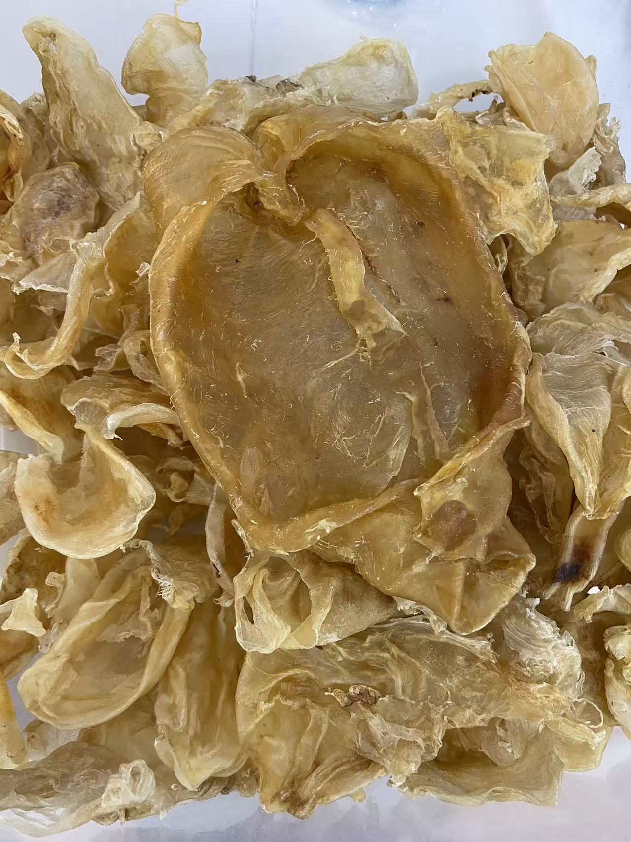 广东-汕头-日晒鱼胶小碎花胶鱼肚干，适合日常煲汤--500g