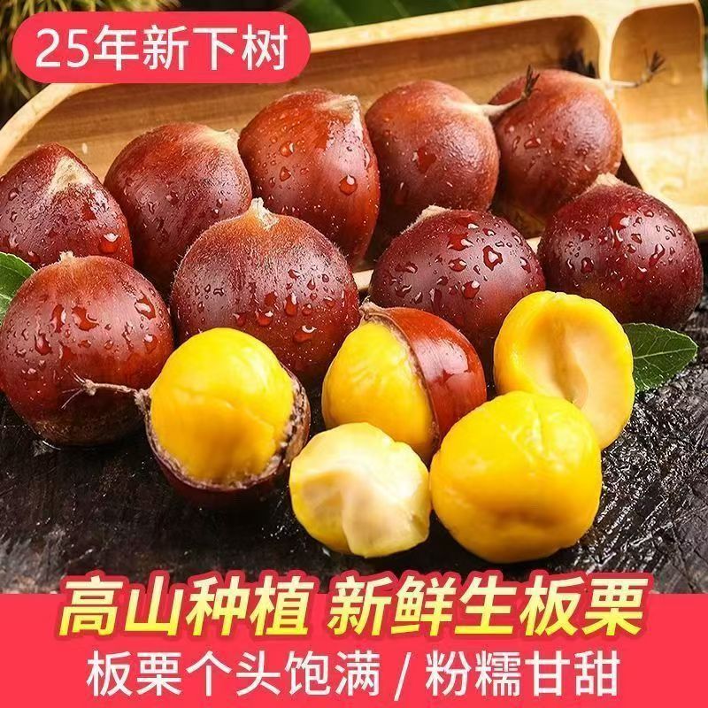 【三斤送两斤】装新鲜现摘高山板栗清脆甘甜可糖炒蒸煮的生板栗