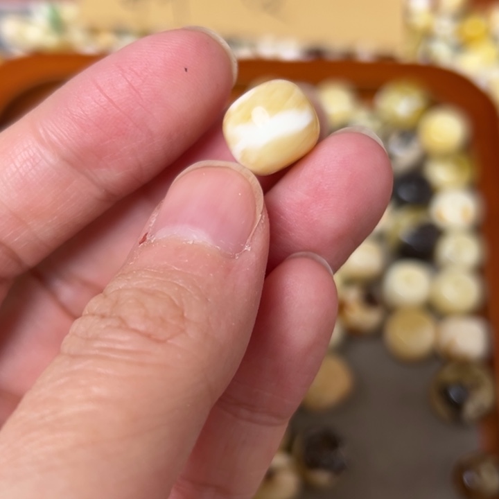 蜜蜡未镶嵌裸石11.4mm一个