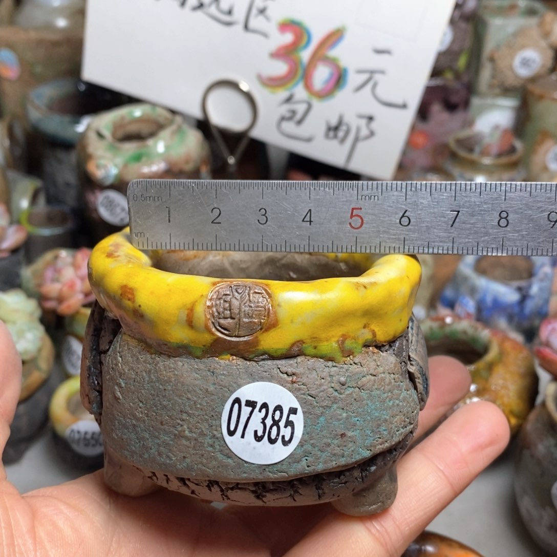 花盆拍3送一个小礼物