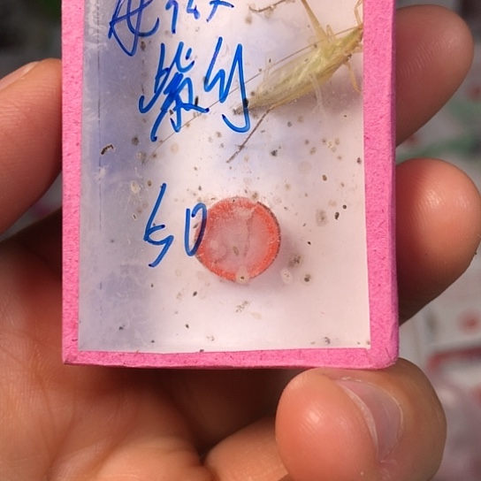 韦***铭蟋蟀生生世世生生世世生生世世