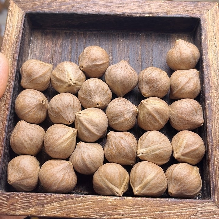 人***！橄榄核手串/手链素核