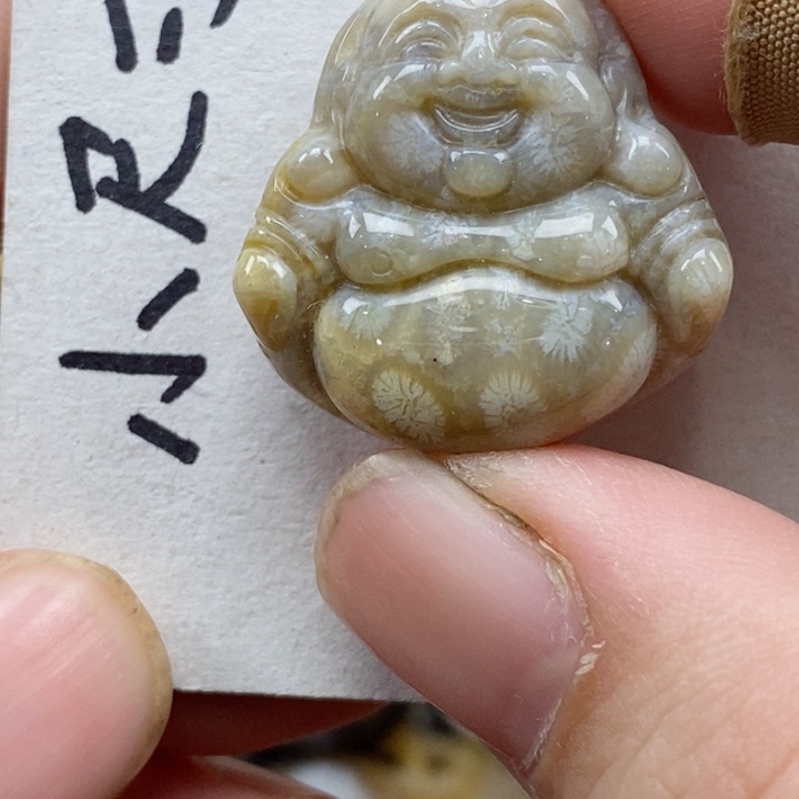 颈饰未镶嵌硅化珊瑚（珊瑚玉）