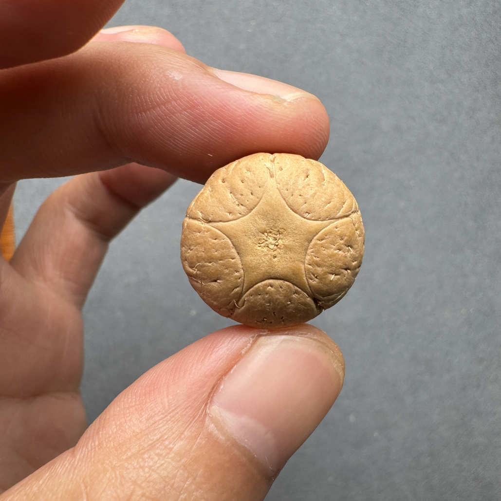 精品20+五星上将菩提凤眼菩提三通佛头，非质量问题开孔不退