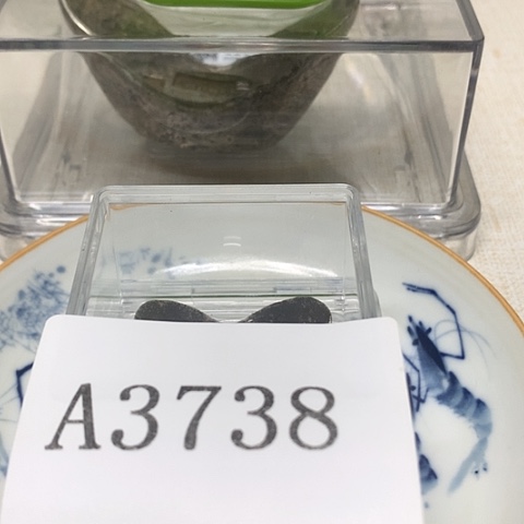 摆件六*11111111111
