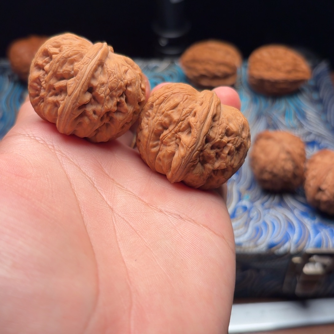 40尺精配对元宝非常精