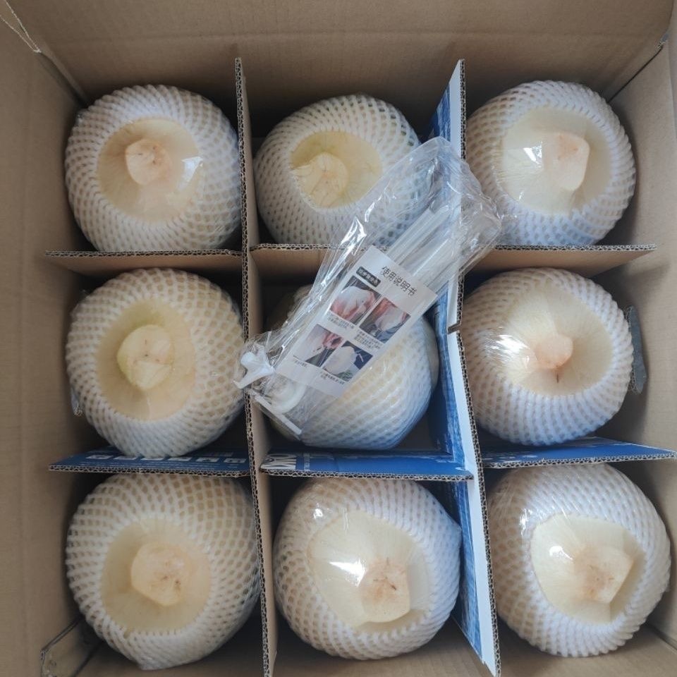 海南新鲜椰青椰子精选大果9个装（送开椰器和吸管）生鲜孕妇水果