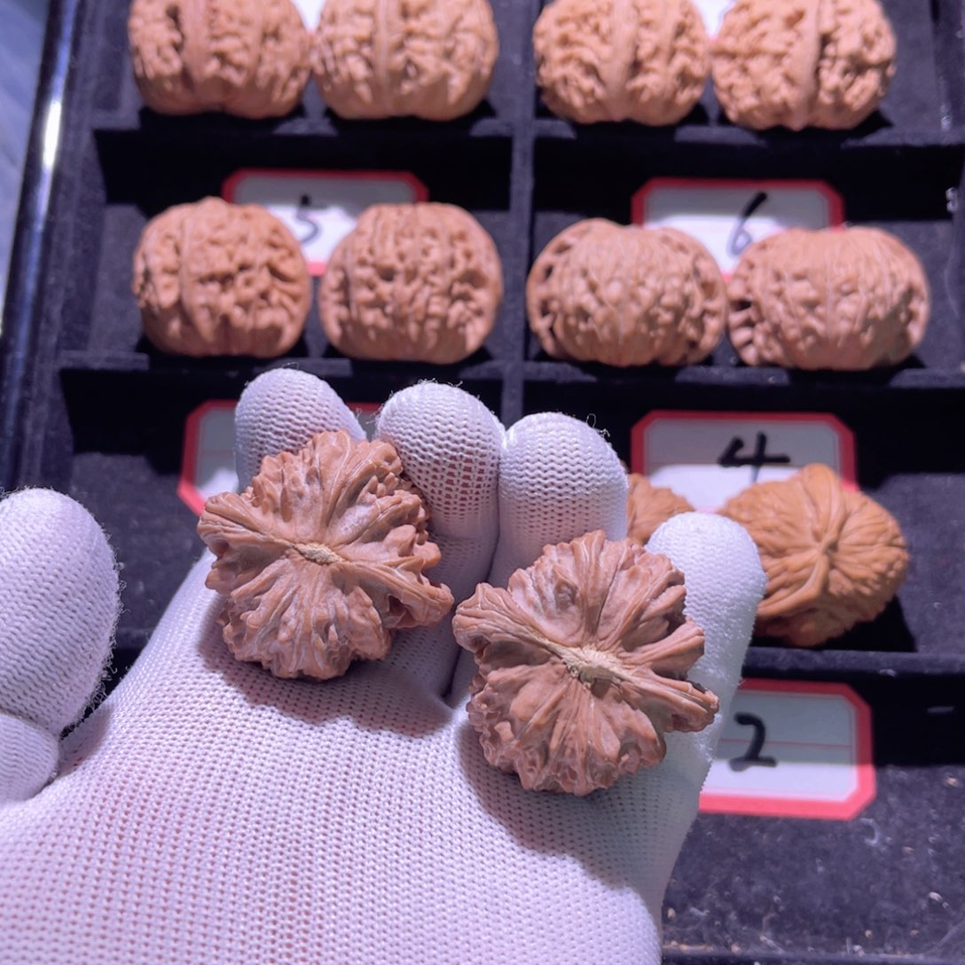 李*…秦皇岛山地果老款三角白