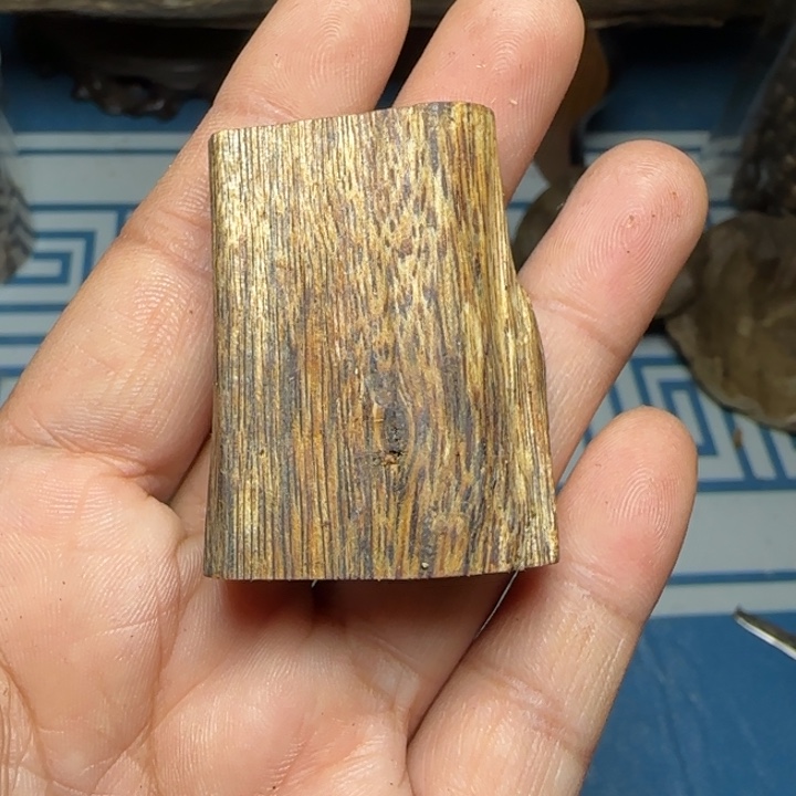 线香海南白奇树心牌9克