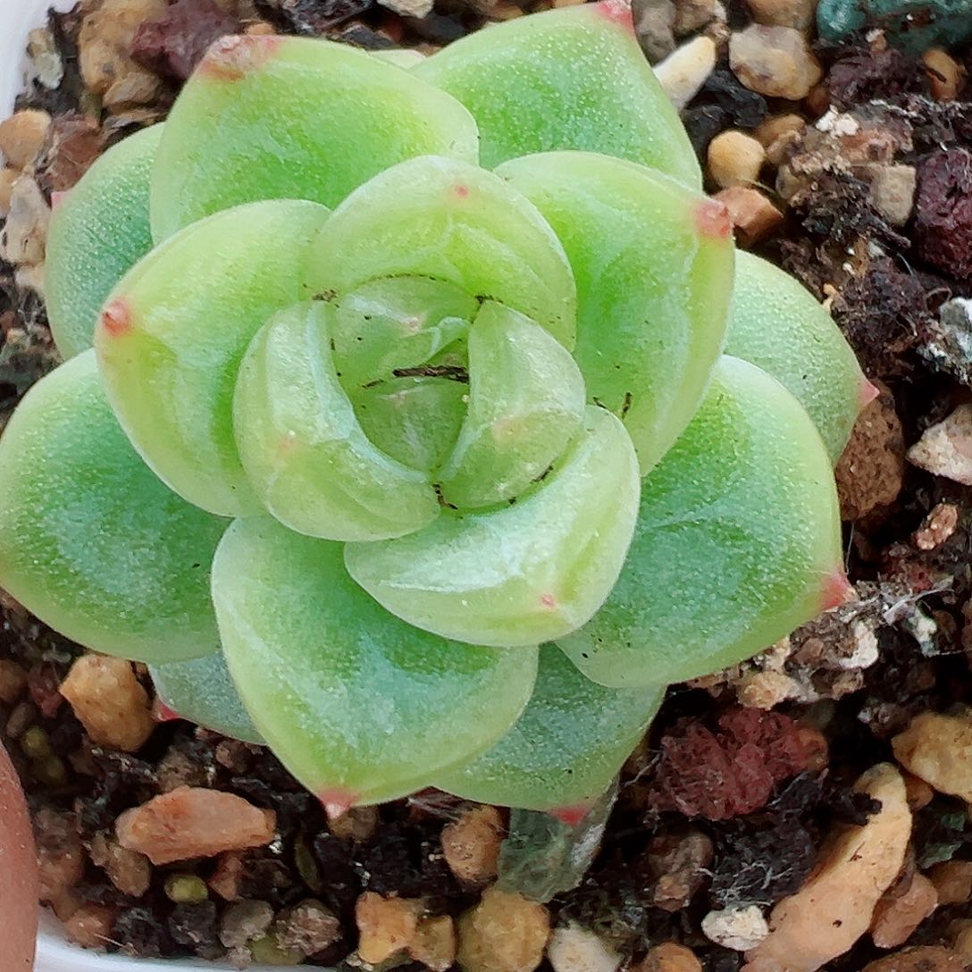 718哈哈哈哈哈哈哈哈我