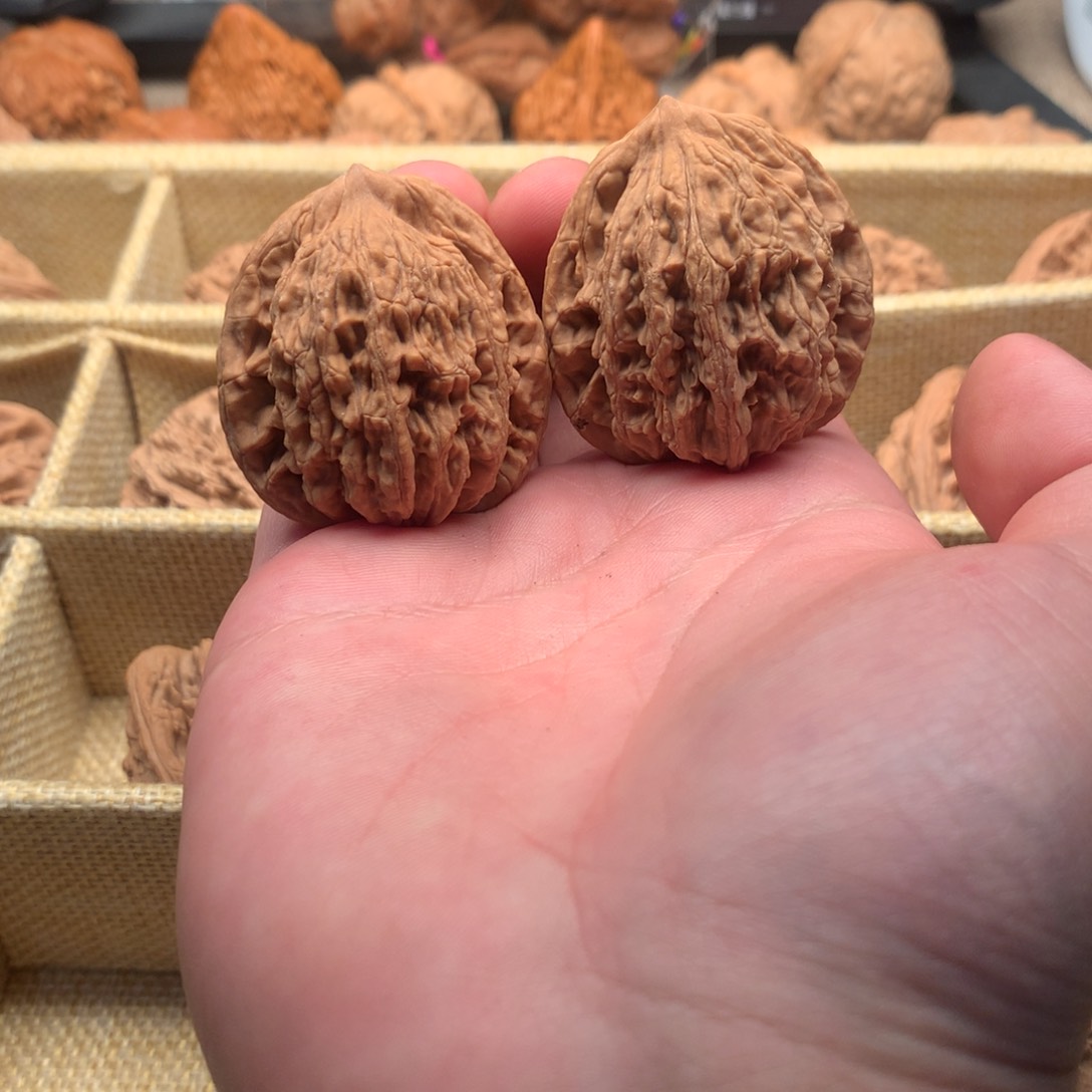 全品无修狮虎兽大克重