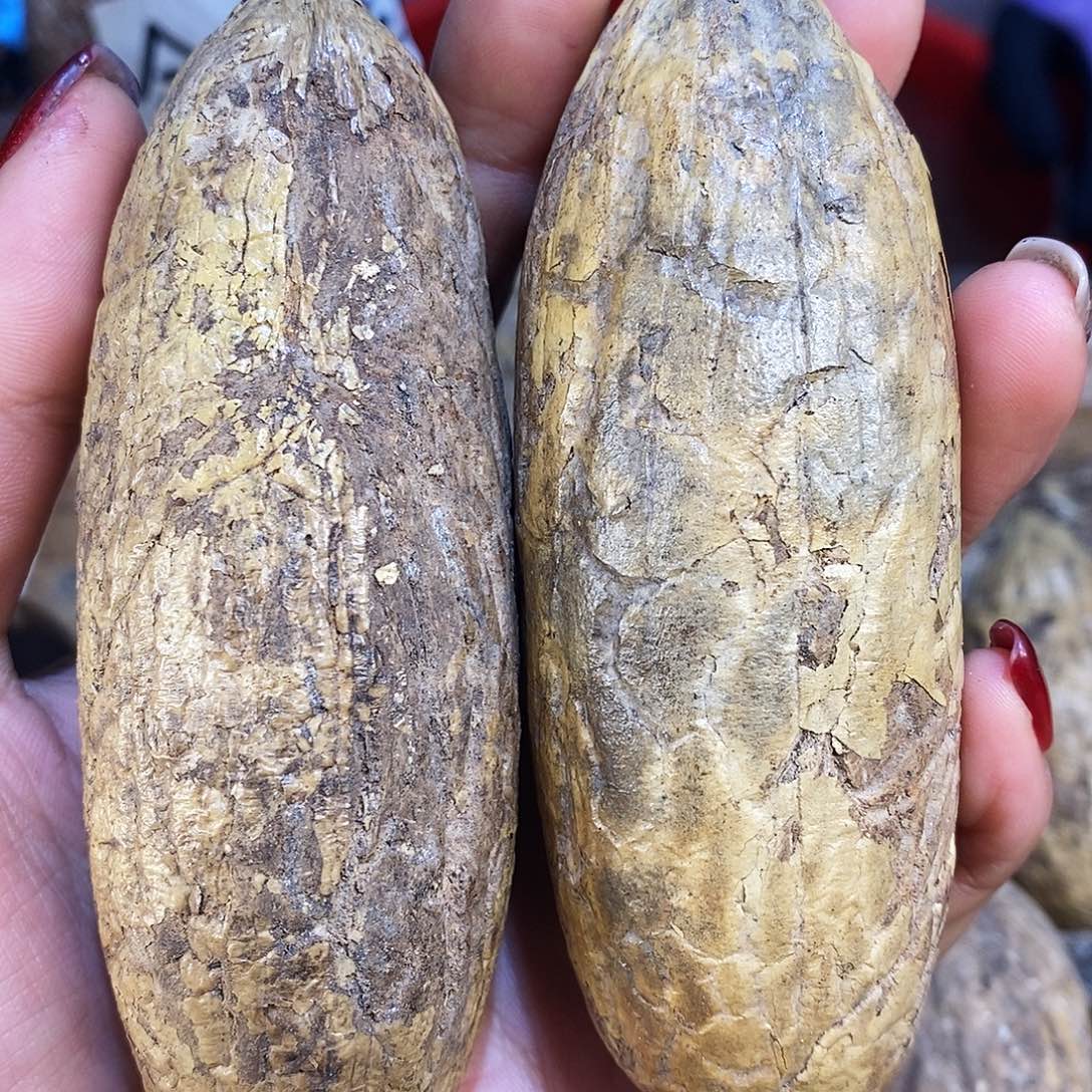 菩提菩提千眼菩提手把件开果不退