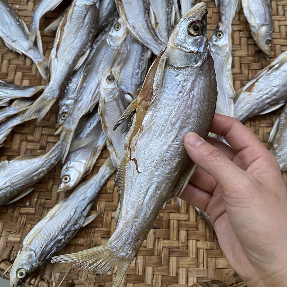 大别山翘嘴鱼干508g/份老家腌制咸鱼风干鱼河鱼去肚干净