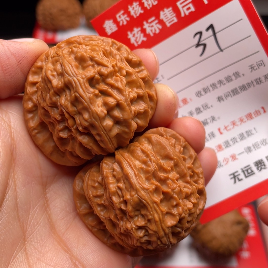 文玩核桃把件白狮子41尺