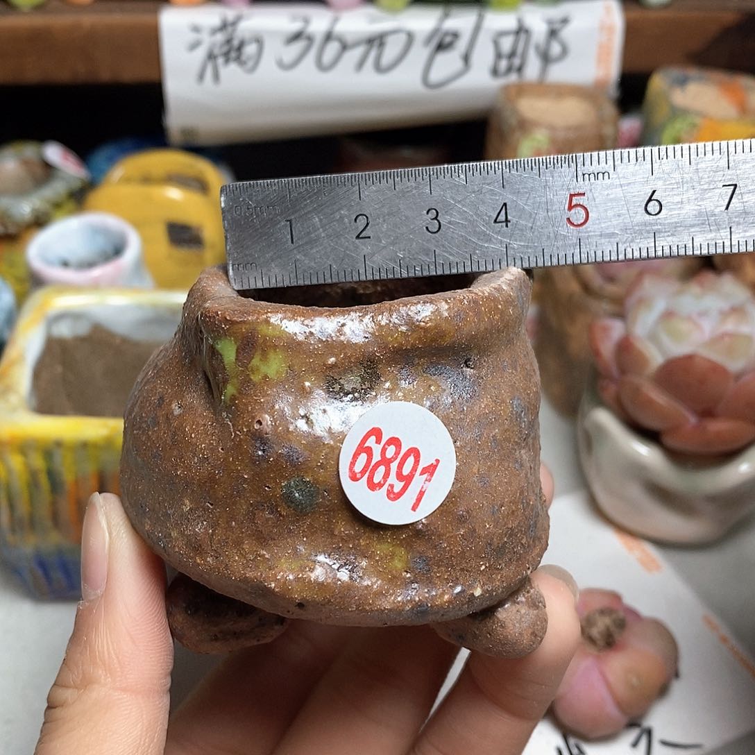 红陶拍5送一个小
