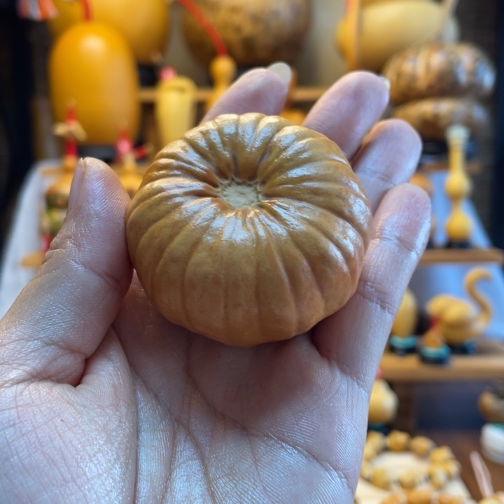 森***菜天然葫芦自然生长