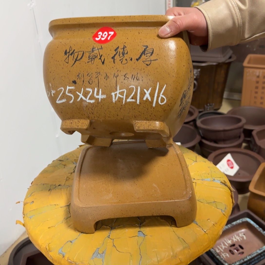 紫砂花盆呜呜呜呜