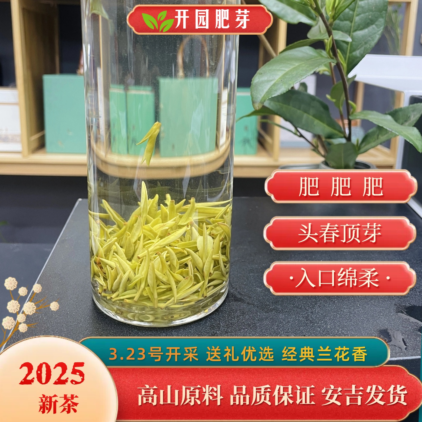 镇店【开园顶芽】竹兰香浦罗坞正宗安吉白茶原产地发货25新茶A77