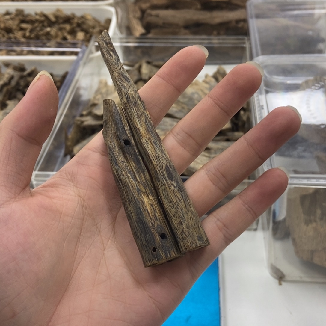 沉香金沙叶天然虫漏15克