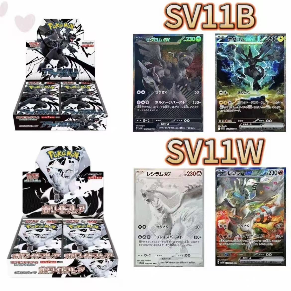 宝可梦日版黑白龙SV11