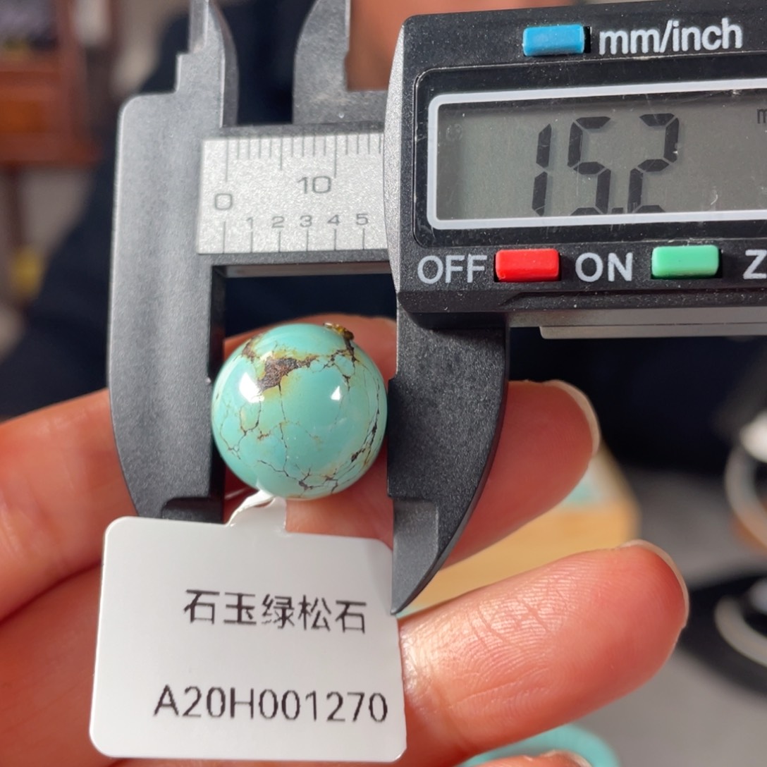 绿松石颈饰未镶嵌