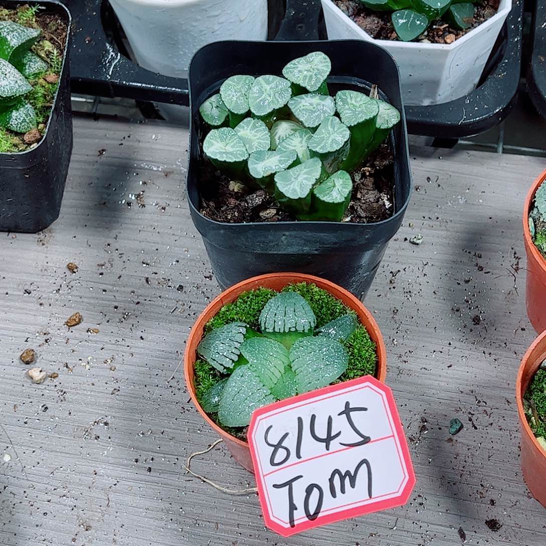 火烧云天空一勿一拍