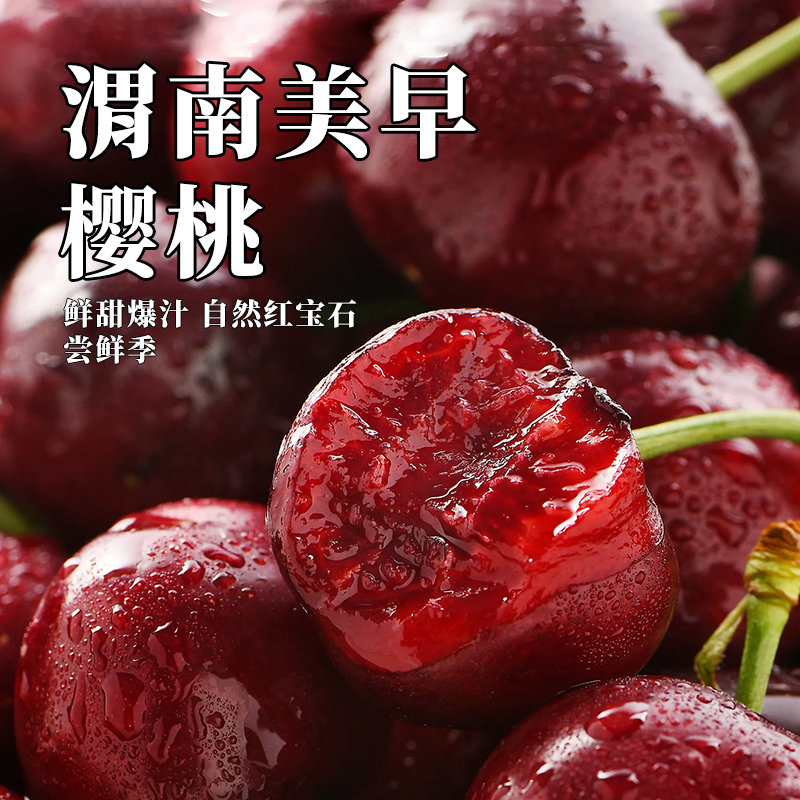 冷链直发美早樱桃新鲜水果甜樱桃当季水果脆甜现摘现发