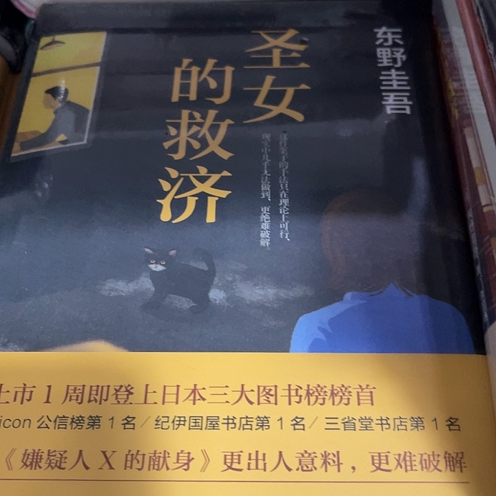 圣女的救赎十米一个