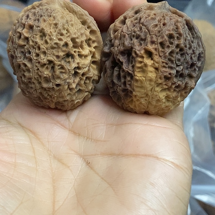 把件文玩核桃云南铁核桃基地42