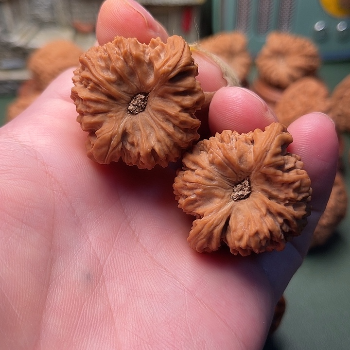 大酒杯凹底南疆石