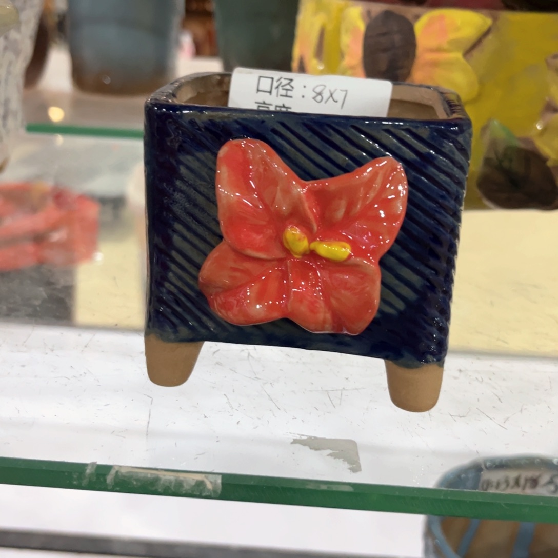 红陶福利福利福利