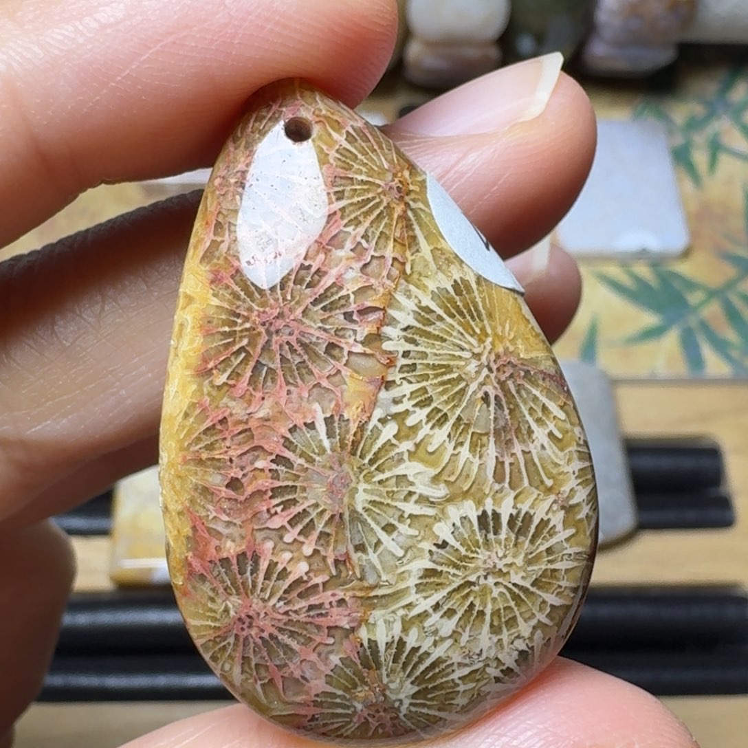 硅化玉彩大花，有朵骨骼花未镶嵌