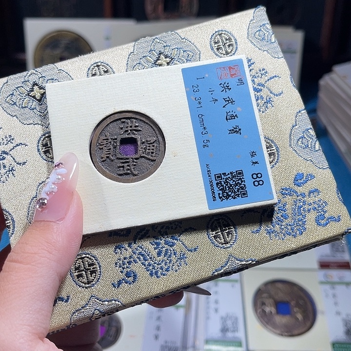 無***忧铜小轻洪武通宝6069
