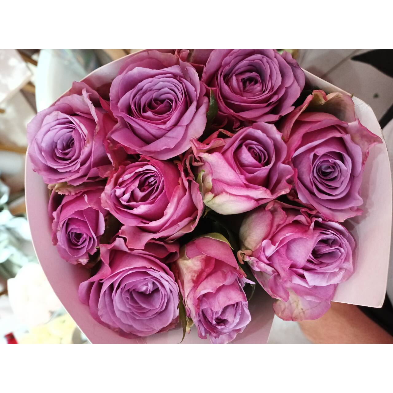 【优惠套餐】 A05   基地鲜花   家庭用花   水养