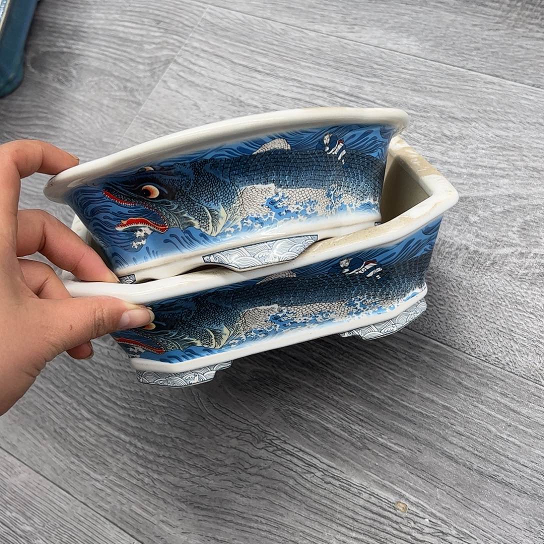 紫砂花盆龙鱼福利2个21/17/7cm