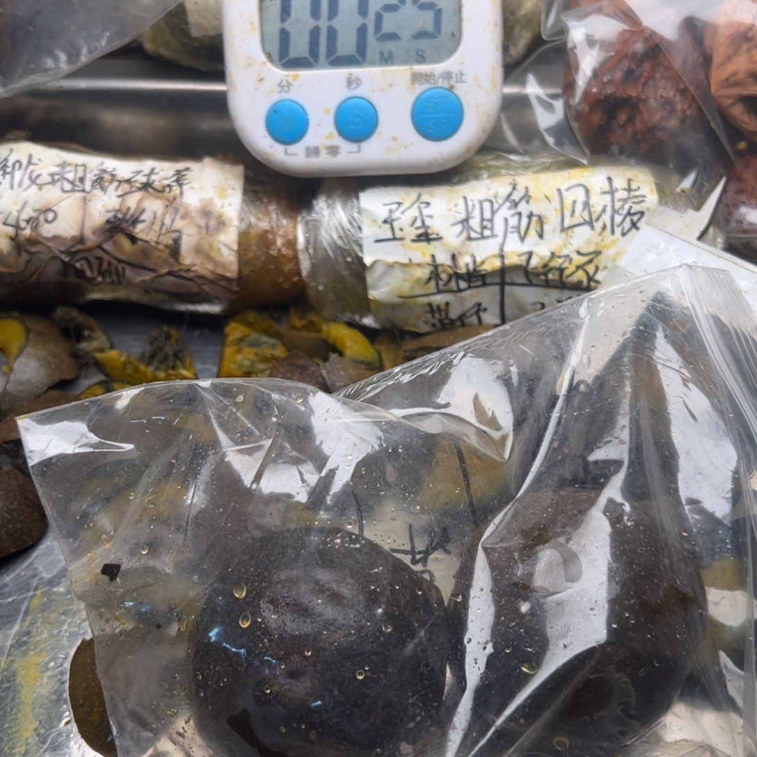 “***风回家叫你那么能解决你姐姐