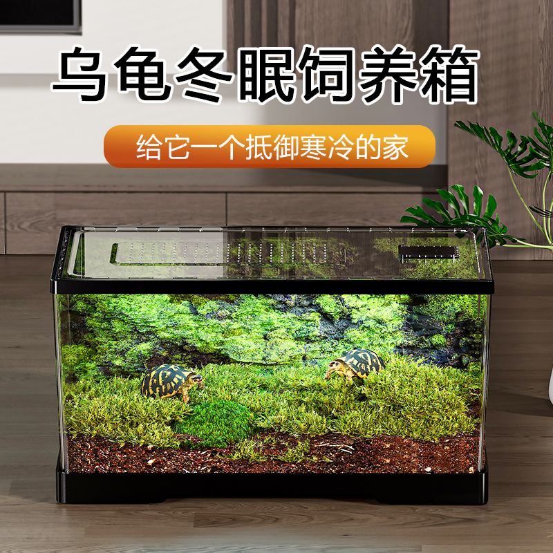 乌龟冬眠箱亚克力透明全景生态乌龟守宫蜥蜴角蛙蛇专用爬宠饲养箱