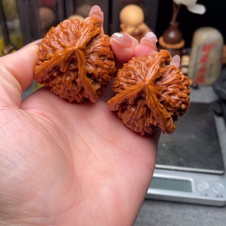 文玩核桃把件官帽三角45左右