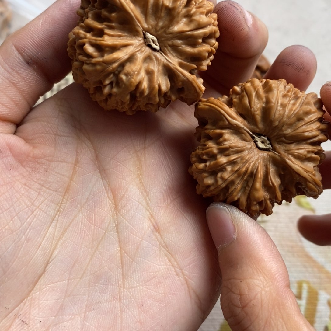 文玩核桃把件闲*满天星