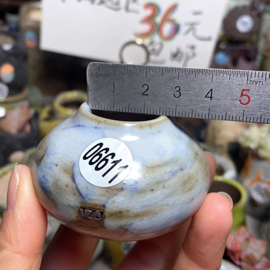 花盆拍5送一个小礼物