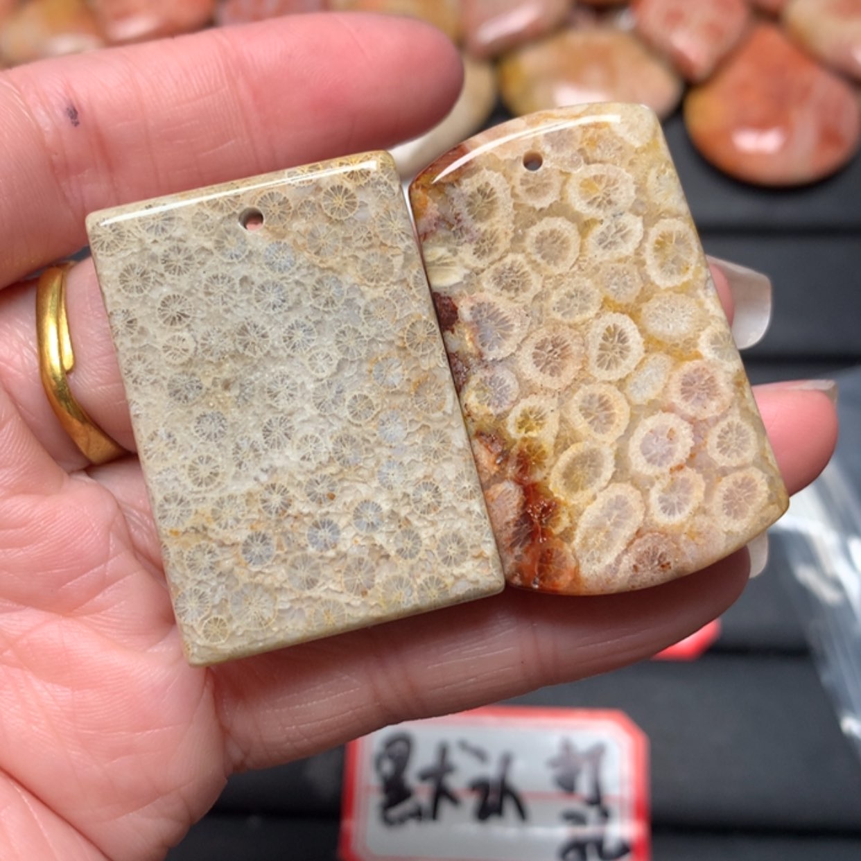 【闪购商品】硅化玉颈饰未镶嵌郝*子