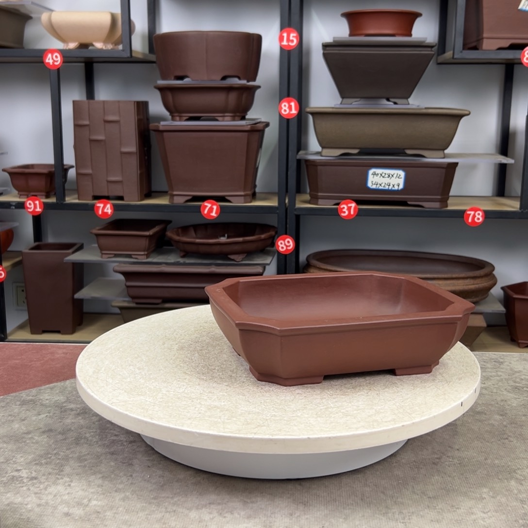 紫砂花盆21长17宽5深888888888